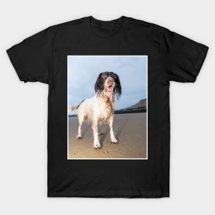 English Springer Spaniel T-Shirt